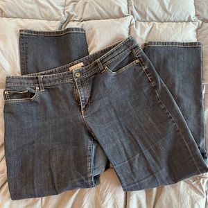 Ann Taylor jeans, curvy fit, size 16